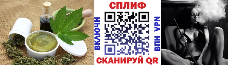 Canna-Cookies конопля  где купить наркотик  Курчалой 