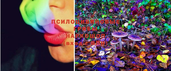 PSILOCYBIN Алексеевка