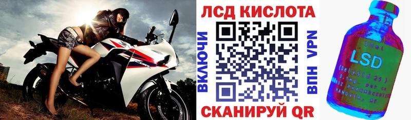 что такое   Курчалой  Наркотические марки 1,8мг 