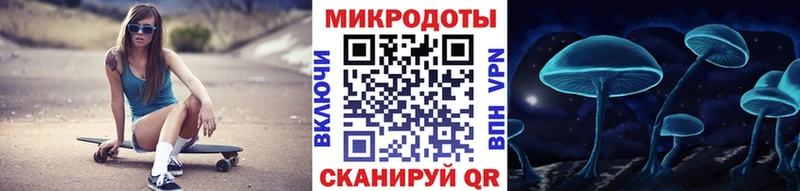 Псилоцибиновые грибы Cubensis  Курчалой 