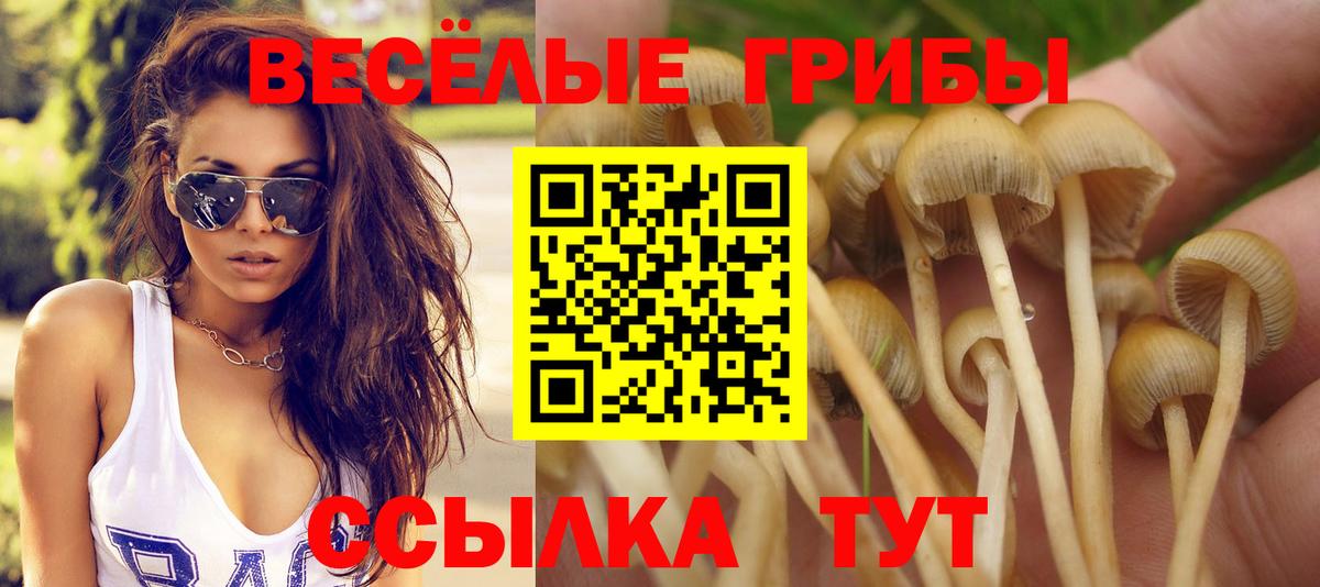 Галлюциногенные грибы GOLDEN TEACHER Курчалой