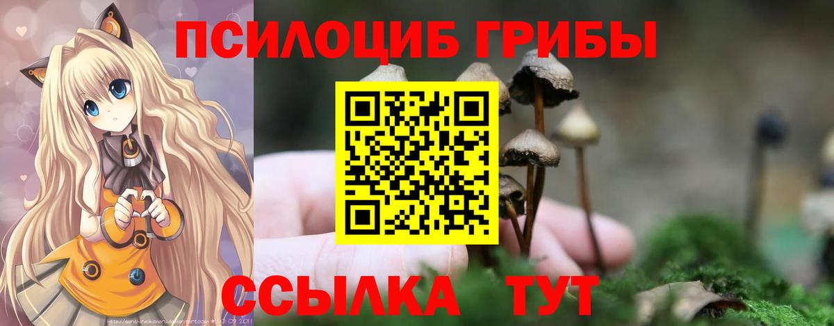 Галлюциногенные грибы ЛСД  Псилоцибиновые грибы Cubensis  Курчалой  Вход с VPN 